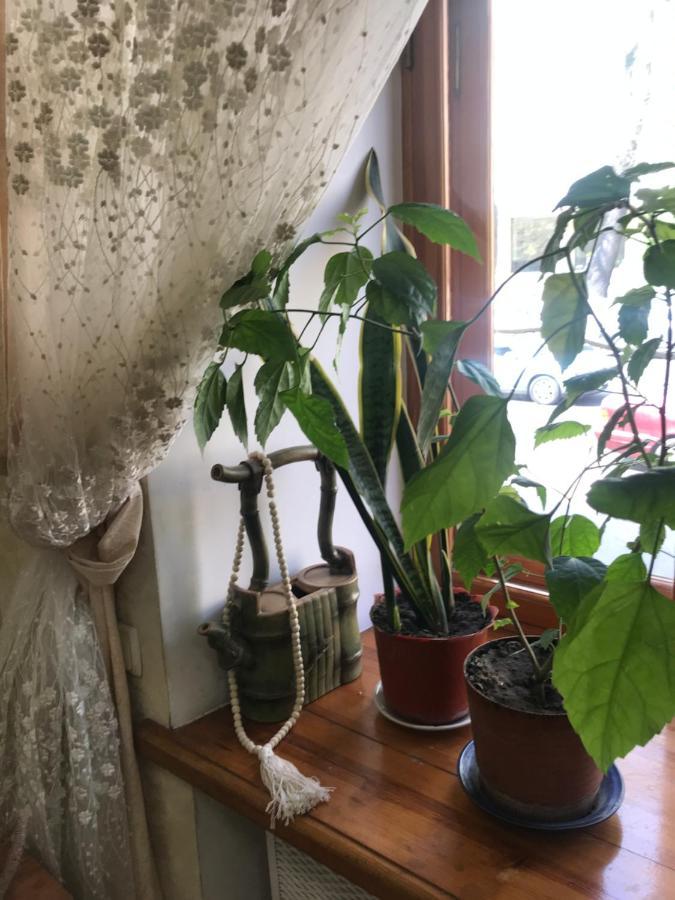 Uspenskay/Pushckinskay Apartman Odessza Kültér fotó