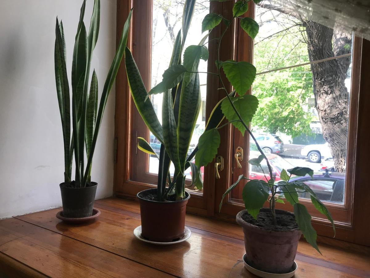Uspenskay/Pushckinskay Apartman Odessza Kültér fotó
